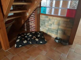 Apartamento Fewo Am Saalerbodden