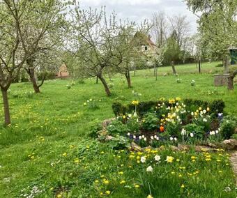 Apartamento Forsthaus In Waldhessen