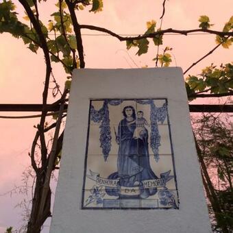 Casa Do Pa�o Aveiro Holidayhome