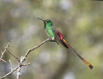 Piccolina, Casa En Las Sierras De Cba.
