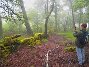 Villa Miradouro Da Branda