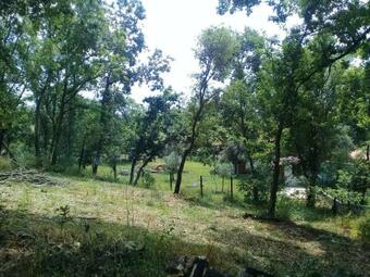 Apartamento Agua Azul Poolside Rest A Luxurious Rural Woodland Idyll