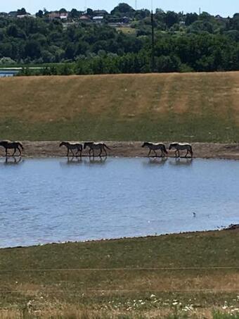 Anne's B&b, N�rrestrand