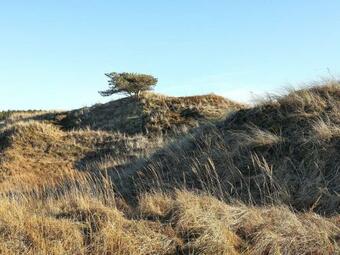 Holiday Home Bindslev XXI