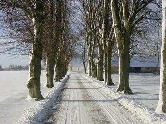 Bed And Breakfast �l�kke