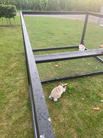 Apartamento Guesthouse With Tee-kitchen