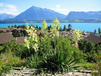 Apartamentos Otium Erholungs-oasen, Soldanella