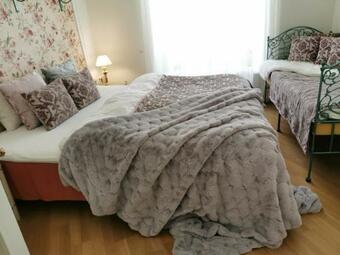 Historical 3-bedroom Apartment With Sauna & Fireplace