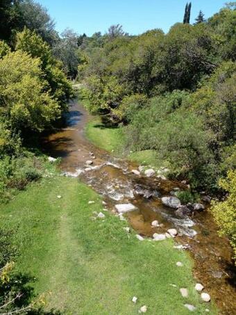 Apartamento Micelio Monoambiente Studioapartment