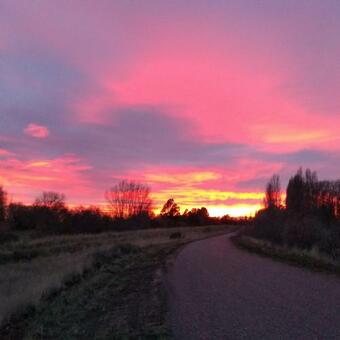 Loyca Eco-tiny House