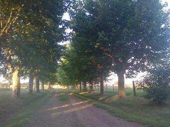 Baradero - La Vida De Campo A UNA Hora Del Obelisco! Km142 R9 - Las Chapas Casa De Campo Baradero