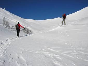 Hotel Le Sapin Fleuri