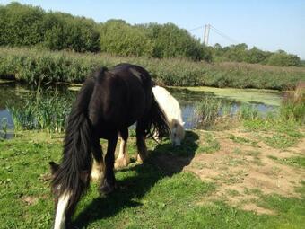 Lodge Marshlands Lakeside Nature Retreat