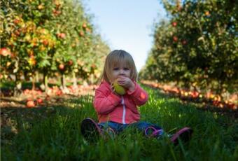 Hostal Valley View Farm Staycation Home