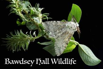 Bed & Breakfast Bawdsey Hall