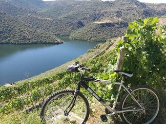 Moradias Douro Internacional