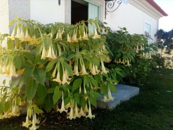 Bed & Breakfast Casa Da Pergula