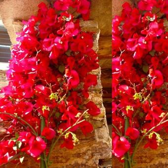 Villa Rallou,breathtaking View