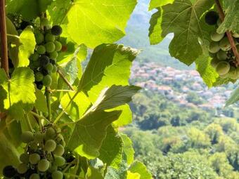 Apartamento Traditional Studio Luxury Renovated