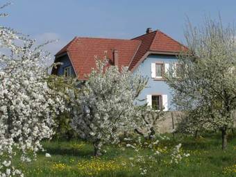 Apartamentos G�te Halmer