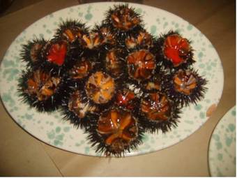 Centro Vacanze La Pineta