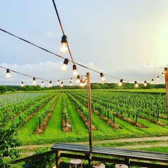 Lovely Beachfront Cottage Steps To The Sound! Parks, Restaurants