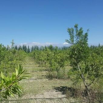 Posada Las Guaras Valle De Uco