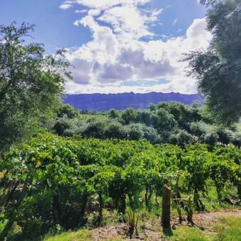 Agroturismo Munay Ecohotel - Posada De Campo