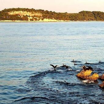 Villa Hacienda De Los Olivos