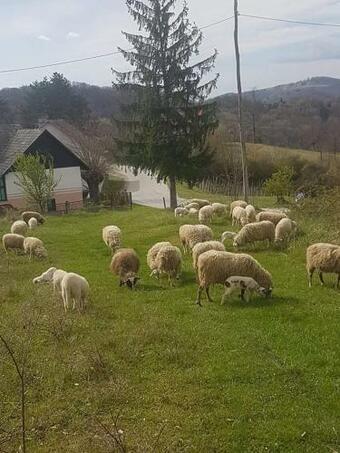 Apartamento Kod Slaveka