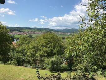 Studio Apartman "djed"