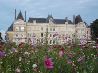 Bed & Breakfast Chateau De Brian�on