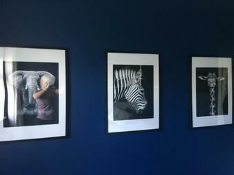 Follies Suites Ballyvoile