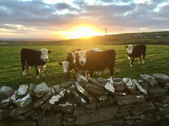 Lodge Aillebrack Cottage