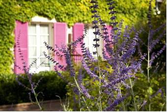 Hotel Le Manoir De Gressy