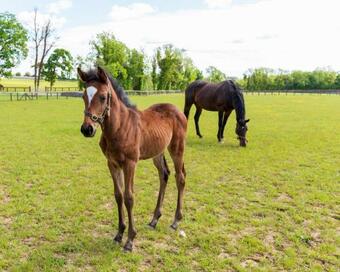 Apartamento Showbusiness