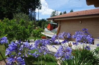 Bed & Breakfast Chambres D'h�tes - La Belmoni�re