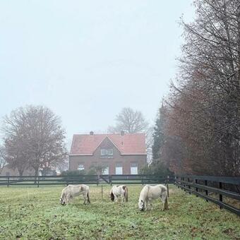 Bed & Breakfast Hoeve De Snippert