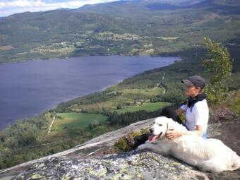 Telemark Motel And Apartment