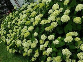 Bed & Breakfast Bo I Remmarl�v