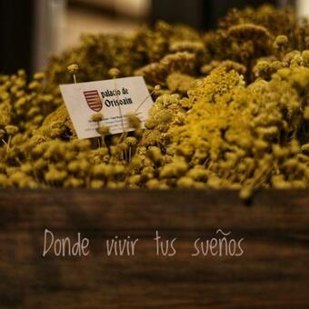 Hotel Palacio De Orisoain