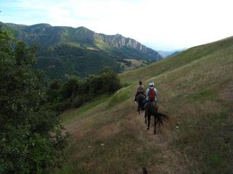 Hostal Posada Las Espedillas