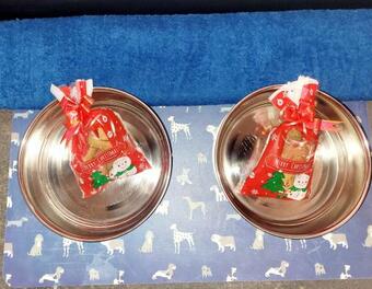 The Old Pumping Station, Broseley, Ironbridge Gorge