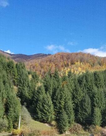 Hostal ?????? ?????? ??????