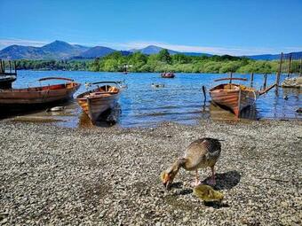 Herald Gold Holiday Caravan