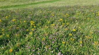 Apartamento 10 Melbost Borve