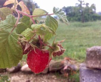 Agroturismo Le Terre D'abruzzo