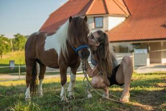 Hostal Bee House Maja