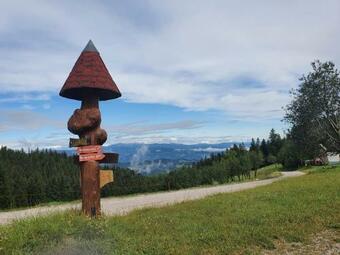 Apartma Ribnica Na Pohorju