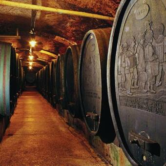 Apartamento Urlaub F�r Die Seele - Erholung Pur In Der Natur - Ferienhaus Mit Infrarotkabine & Relax-raum